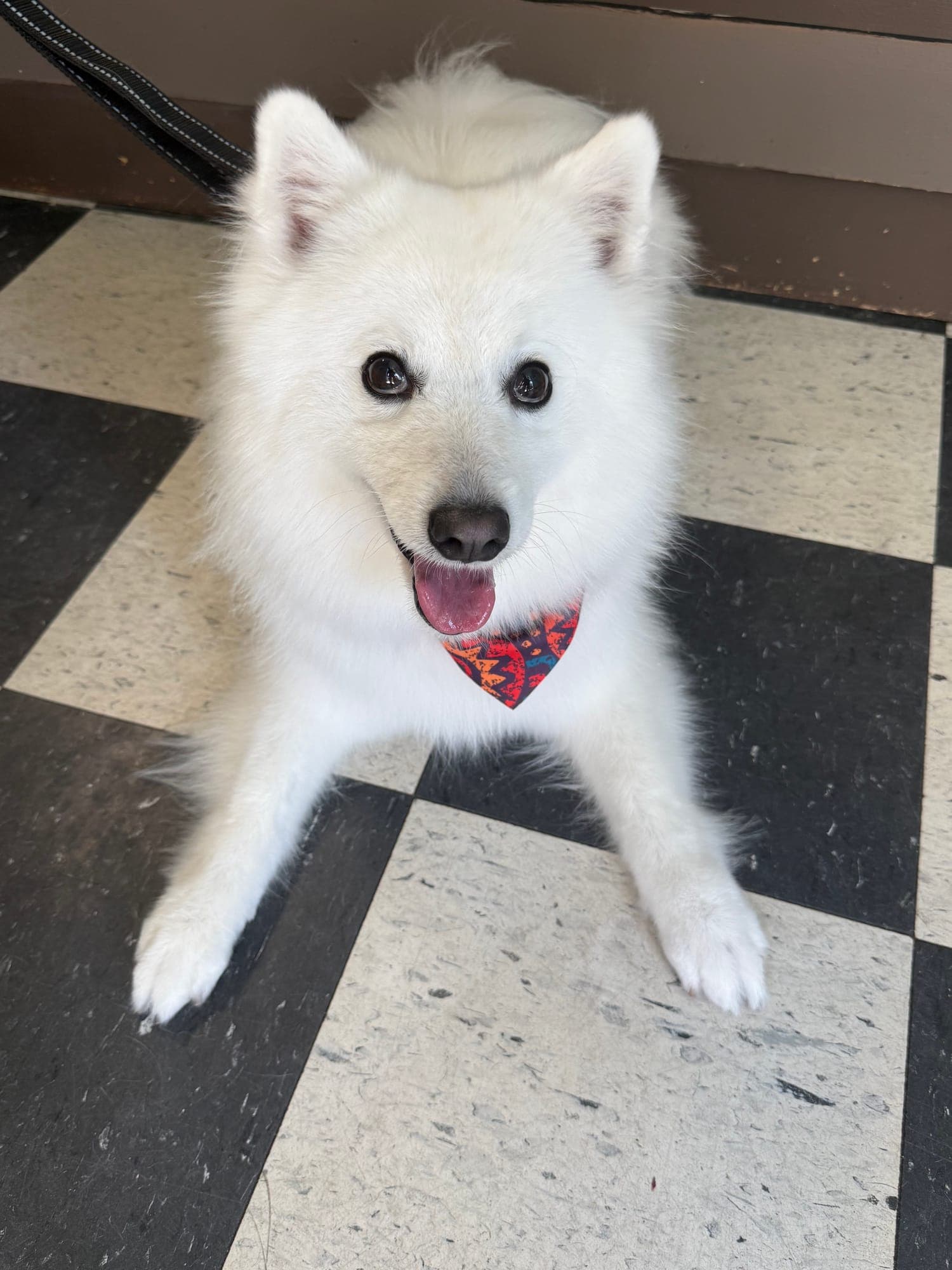 Odin