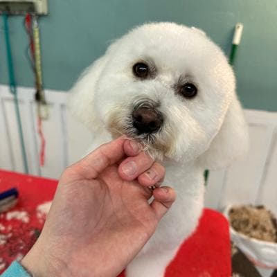 You augment my reality